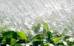 Сильные дожди пройдут на юго-востоке Жамбылской области