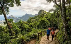 Парк Тижука в Рио-де-Жанейро стал самым посещаемым местом Бразилии