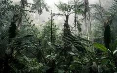 В Африке зафиксировали явление, которое нельзя вообразить