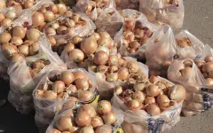 «На пустом месте накручивают» – проблему ценовых накруток поднял Бектенов