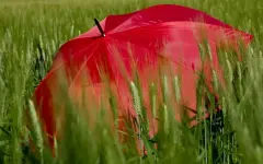 Какие регионы Казахстана затронет штормовое предупреждение в четверг