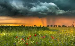 Дожди и грозы пройдут в Алматы и Шымкенте