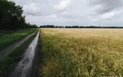 Казахстанцам объяснили, как получить бесплатные 10 соток