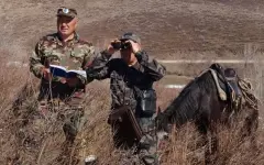 Маралы и медведь попали на видео в казахстанском заповеднике