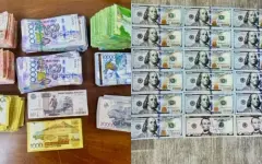 Под прикрытием аптек: в ЗКО разоблачили преступную группу