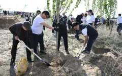 Здесь будет экопарк