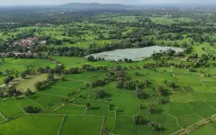 Правила проведения электронных торгов земельными участками изменились в Казахстане