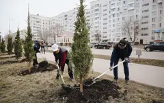 На субботник как на праздник