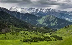 Скандал вокруг «Кокжайлау»: гендиректор «ГеоДата Плюс» заявила о подмене данных и нарушениях