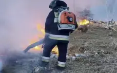 Природный пожар перекинулся на лес в СКО
