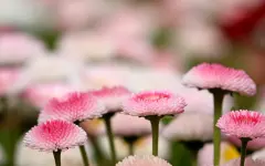 Энергия, хаос и шансы: что ждет знаки зодиака в воскресенье