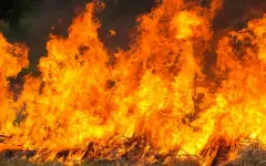 Остров в Финляндии горит под наблюдением спасателей