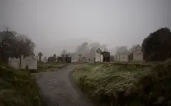 Под кладбищем Нью-Йорка нашли 5,6 миллиона живых существ