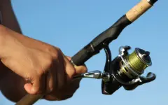 Незаконную перевозку водных биоресурсов пресекли в ЗКО