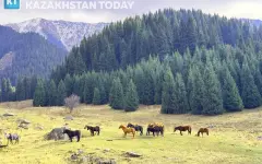 Стала известна дата общественных слушаний по проекту застройки Кок Жайляу
