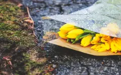 Непогода возвращается: заморозки, грозы и шквалы прогнозируют в Казахстане