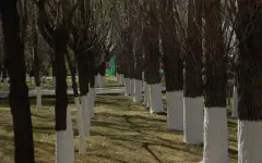 Движение «Таза Қазақстан» объединило почти миллион волонтеров