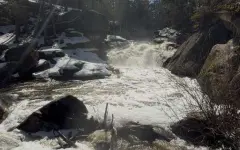 Жемчужины края