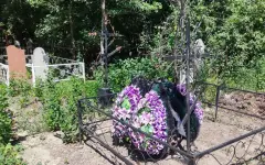 Коровы атаковали кладбище в Карагандинской области