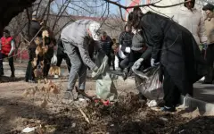 Общегородской субботник пройдет в Алматы