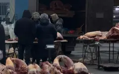 Казахстан запретил ввоз скота из России из-за угрозы опасной болезни