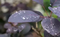 Казахстан накрывает волна непогоды: где ждать заморозки, снег, дождь и шквалы