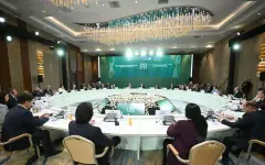 Поддержать инициативу Казахстана