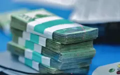 Сотни миллионов, выделенных по проекту «Агробизнес», растратили в области Абай