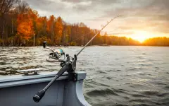 Обновлены правила выдачи разрешения на ловлю рыбы