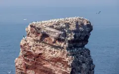 Ученые спустя 127 лет постигли тайну гроба, упавшего с неба