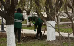 В Астане проведут генуборку
