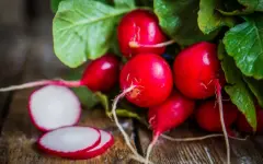 Зачем нужно включать в весенний рацион редис, рассказала диетолог