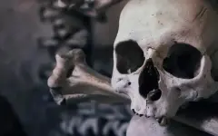 Человеческие останки обнаружили при строительстве больницы в ВКО