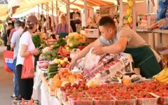 Ярмарка выходного дня в Ауэзовском районе Алматы сменила локацию