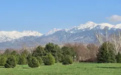 Грозы, град и +32°C: какая погода ждет Алматы до начала мая