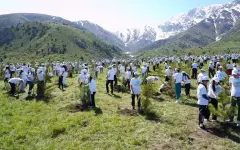 В Туркестанской области в рамках программы Taza Qazaqstan за один день посадили 20 тысяч деревьев