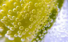 Почему нельзя запивать таблетки газировкой – врач