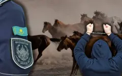 МВД ликвидировало канал контрабанды скота