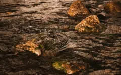 Ядро Земли начало выплевывать золото и драгметаллы на поверхность