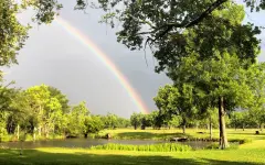 Заморозки, дожди, жара: что ждет Астану, Алматы и Шымкент в конце апреля