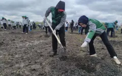 Посадили тысячу деревьев