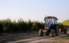 Пьяный тракторист удирал от полиции по пешеходным зонам в центре Астаны – экшн видео