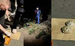 Крупный наркоканал ликвидирован в Павлодаре