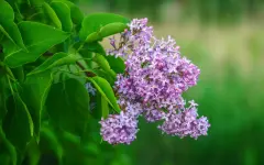 Погода без осадков ожидается на большей части Казахстана