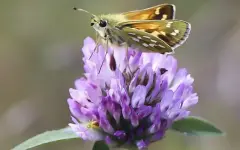 Гороскоп на 28 апреля: день практичных решений