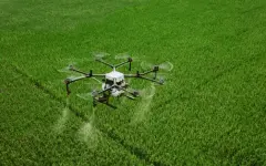 В Казахстане внедряют технологии ИИ в управление посевными площадями