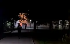 Выстрелы и паника в парке: пьяные алматинцы запустили салют среди отдыхающих