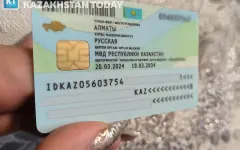 Сбои в перевыпуске удостоверения онлайн: в Минцифры назвали причину