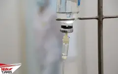 Шакал с подозрением на бешенство напал на детей в Туркестанской области