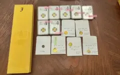 Украденные во Франции сокровища на 300 млн тенге обнаружили в Москве